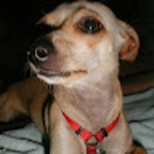 Meet your Posher, Jay